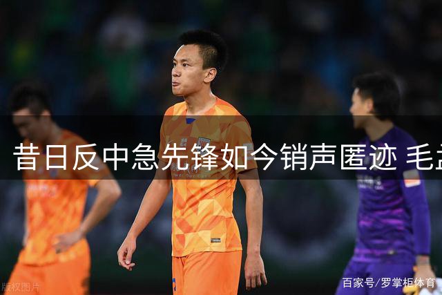 昔日反中急先锋如今销声匿迹 毛孟静出狱后现状曝光
