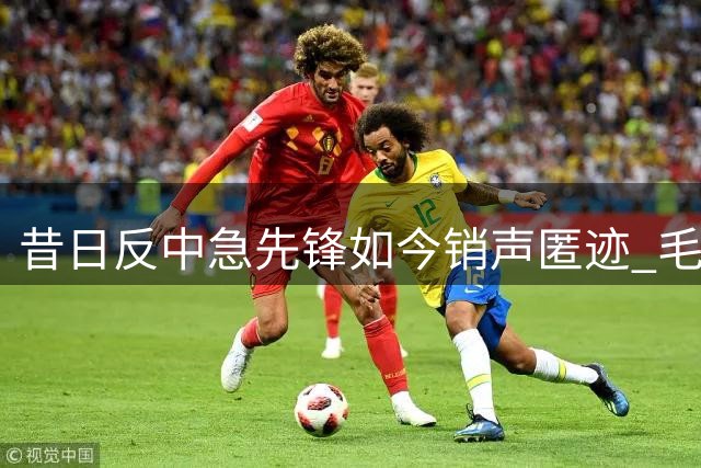 昔日反中急先锋如今销声匿迹 毛孟静出狱后现状曝光