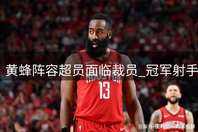 黄蜂阵容超员面临裁员 冠军射手康诺顿处境危险